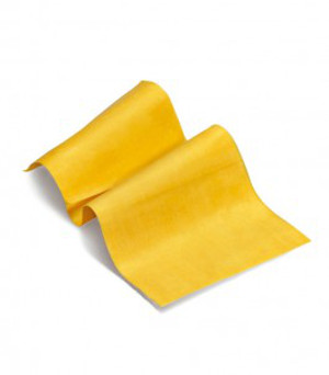 PASTA LASAGNE GR.500 SURGITAL