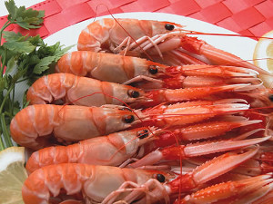 SCAMPI 17/20 KG.1 25% GLASSATURA