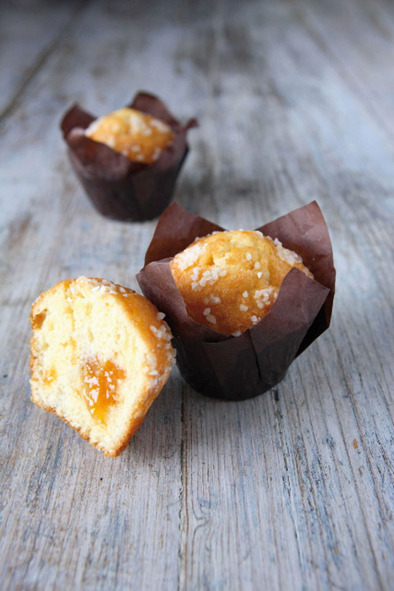 MUFFIN NATURE TULIP.ALB.GR90X20PZ DELIFR