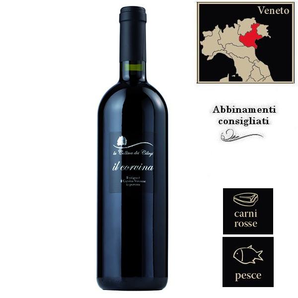 CORVINA VERONESE IGT 75CL  C.CILIEGI