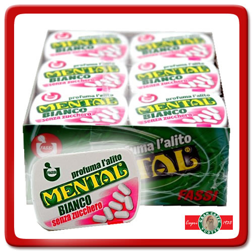 MENTAL SENZA ZUCCH.BIANCO 24PZ FASSI